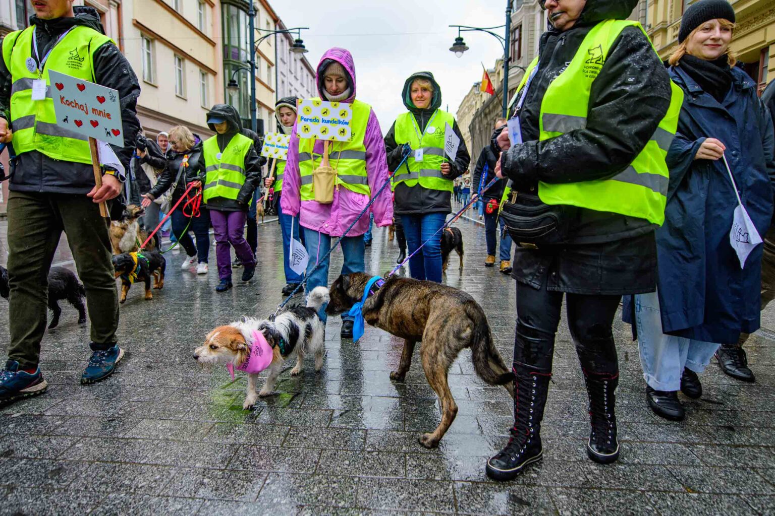 Parada Kundelkow ulica Piotrkowska Fot Sebastian Szwajkowski 12