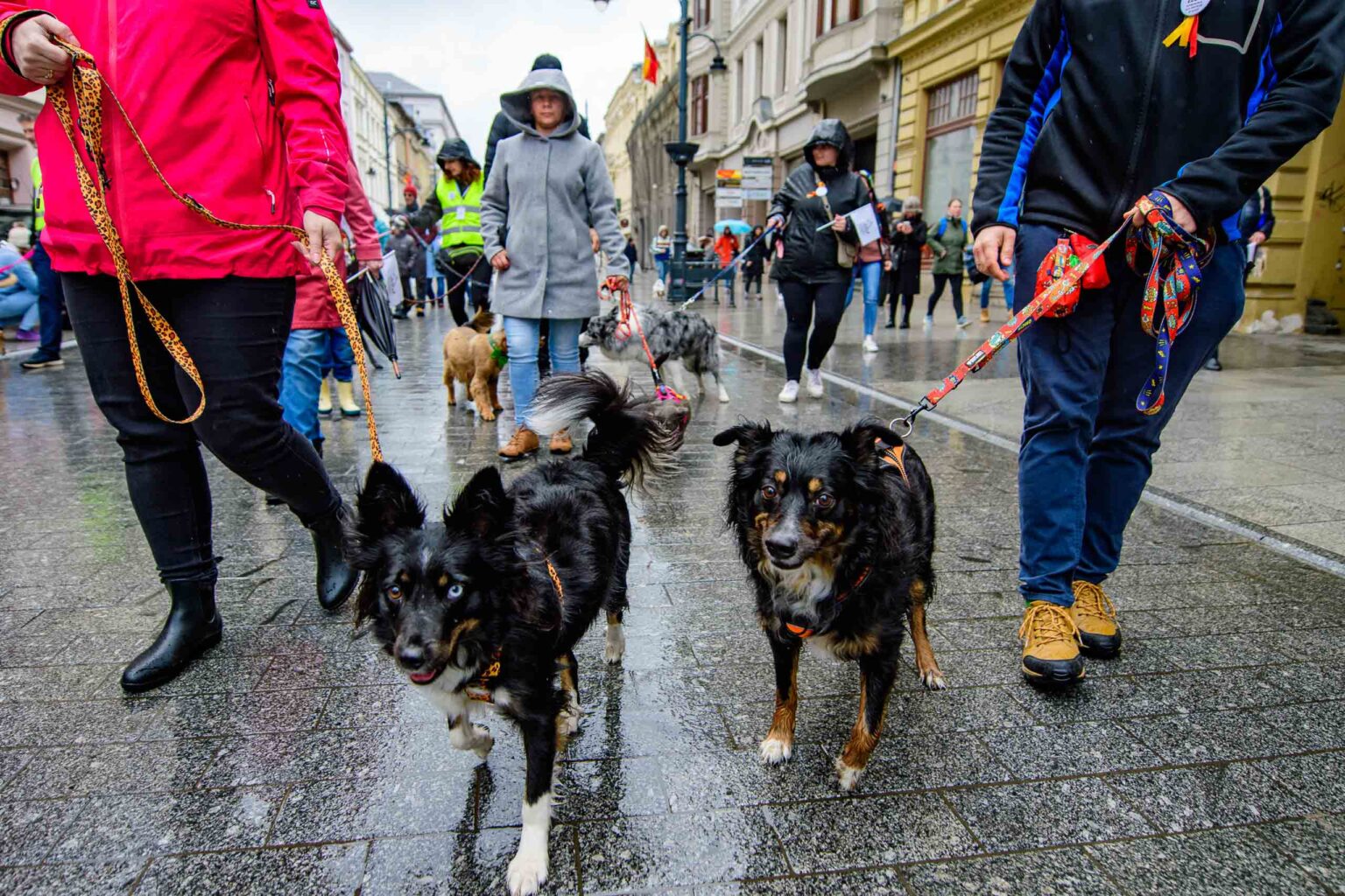 Parada Kundelkow ulica Piotrkowska Fot Sebastian Szwajkowski 13