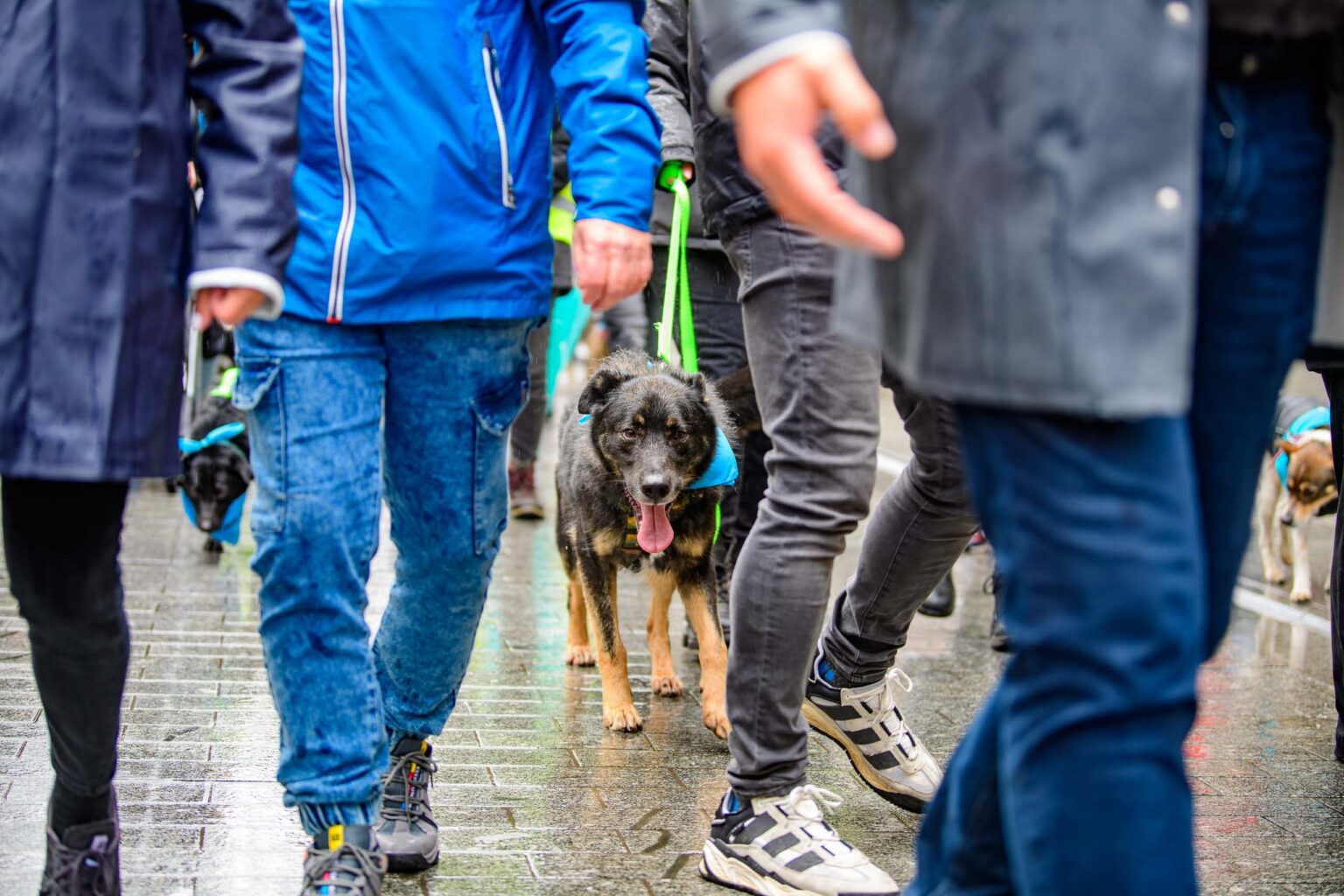 Parada Kundelkow ulica Piotrkowska Fot Sebastian Szwajkowski 14