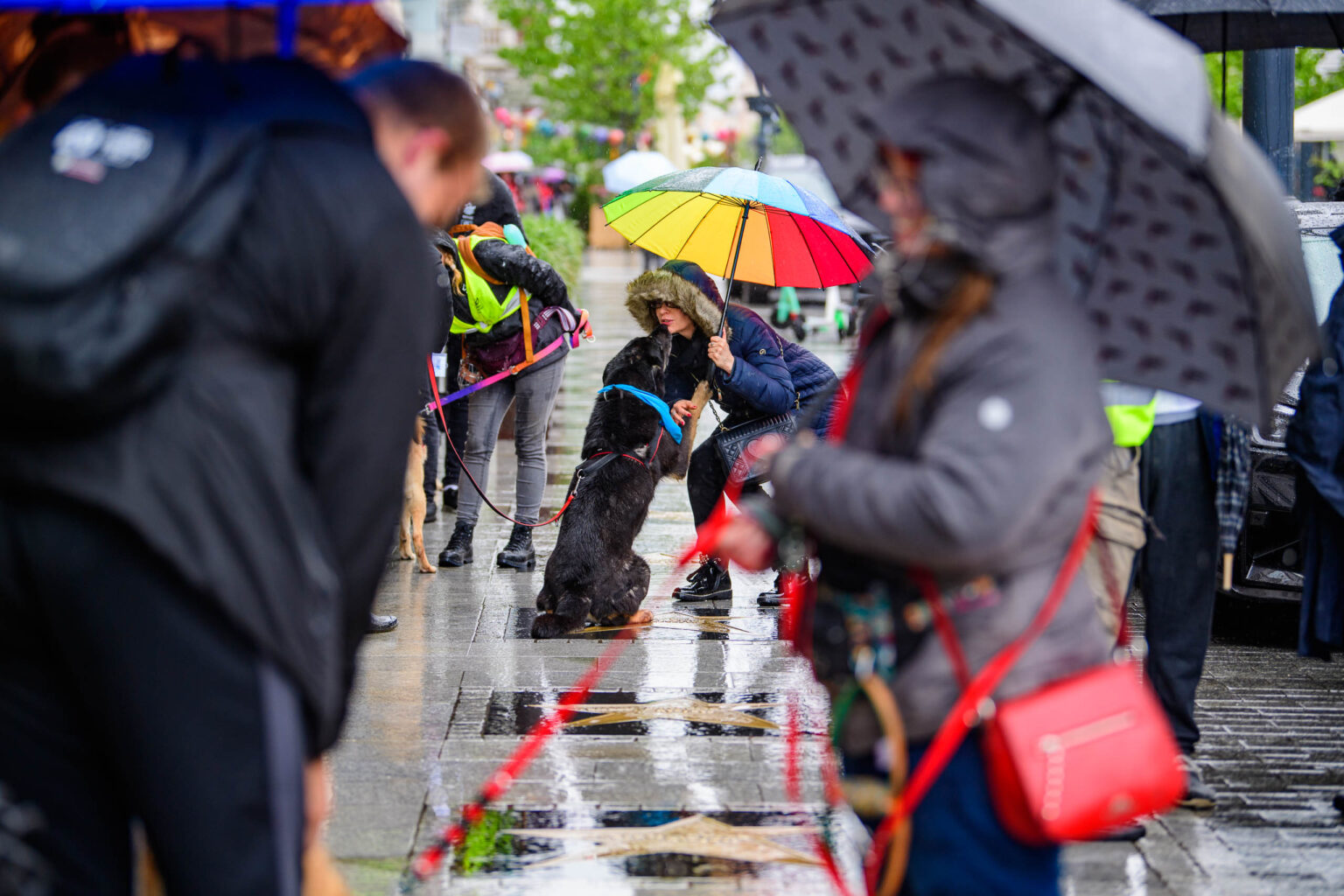 Parada Kundelkow ulica Piotrkowska Fot Sebastian Szwajkowski 18