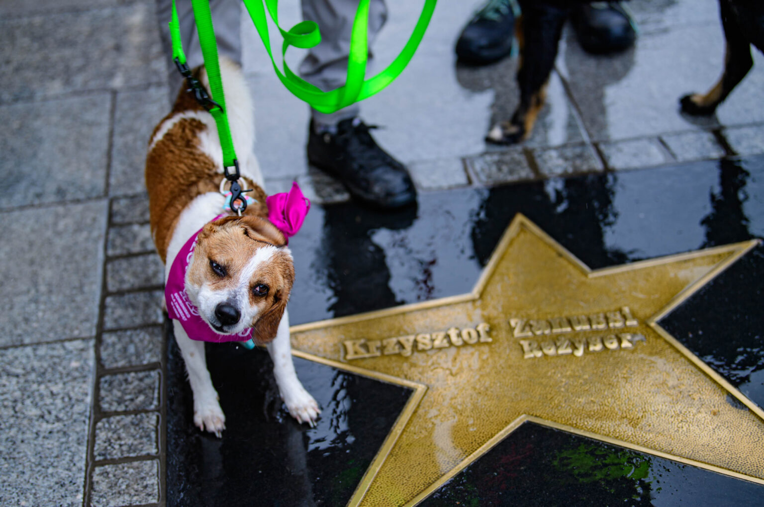 Parada Kundelkow ulica Piotrkowska Fot Sebastian Szwajkowski 23