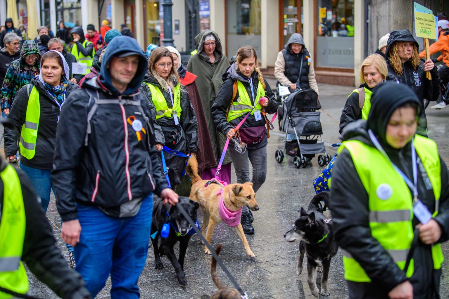 Parada Kundelkow ulica Piotrkowska Fot Sebastian Szwajkowski 29