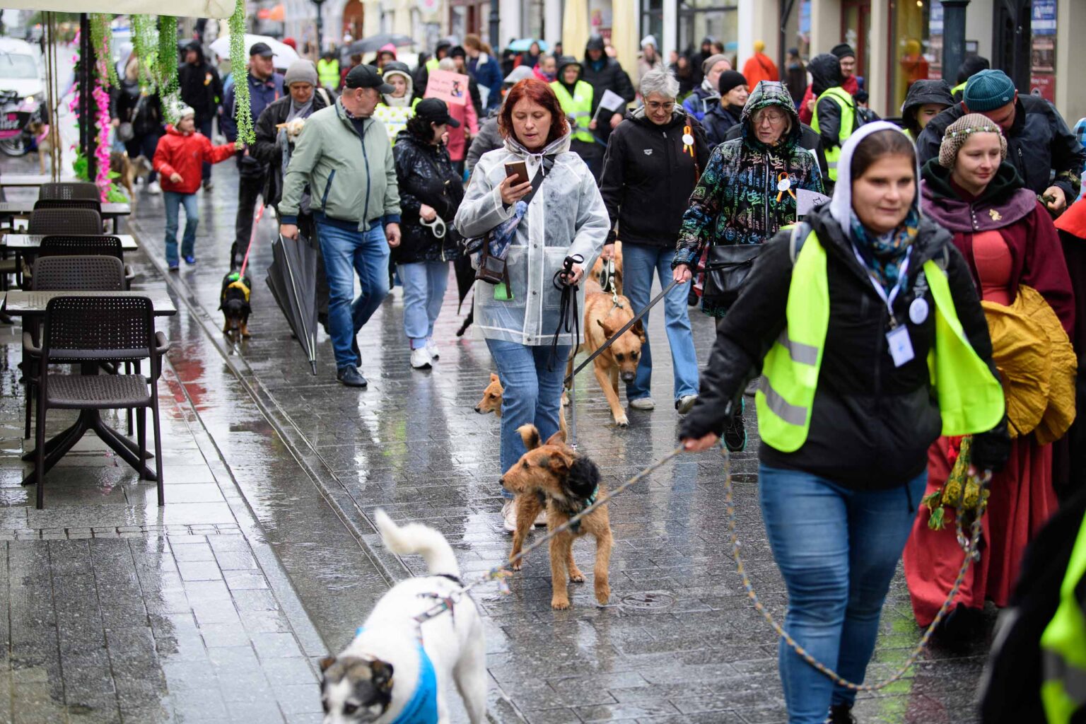 Parada Kundelkow ulica Piotrkowska Fot Sebastian Szwajkowski 30