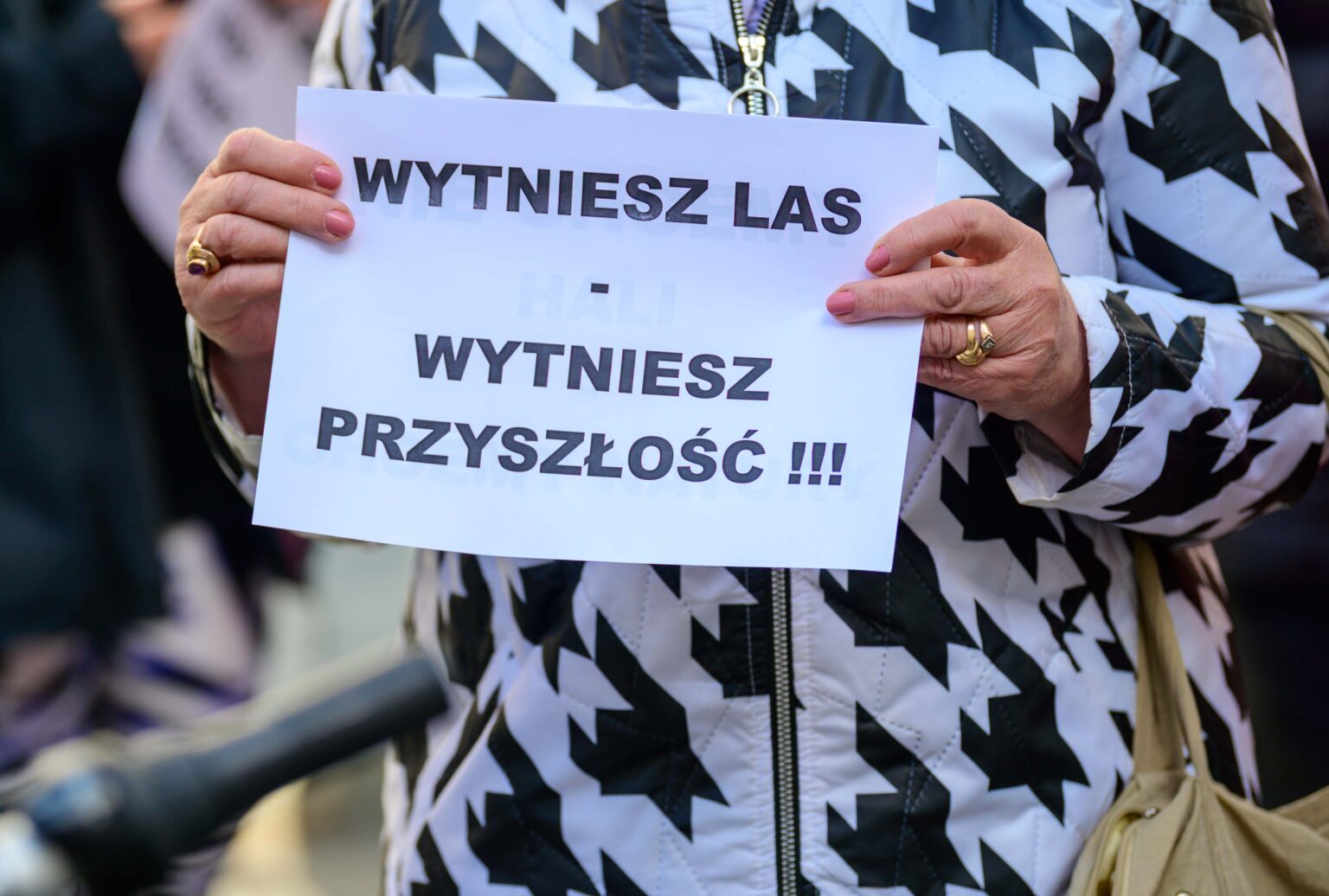 Protest w sprawie wycinki Lublinka 5