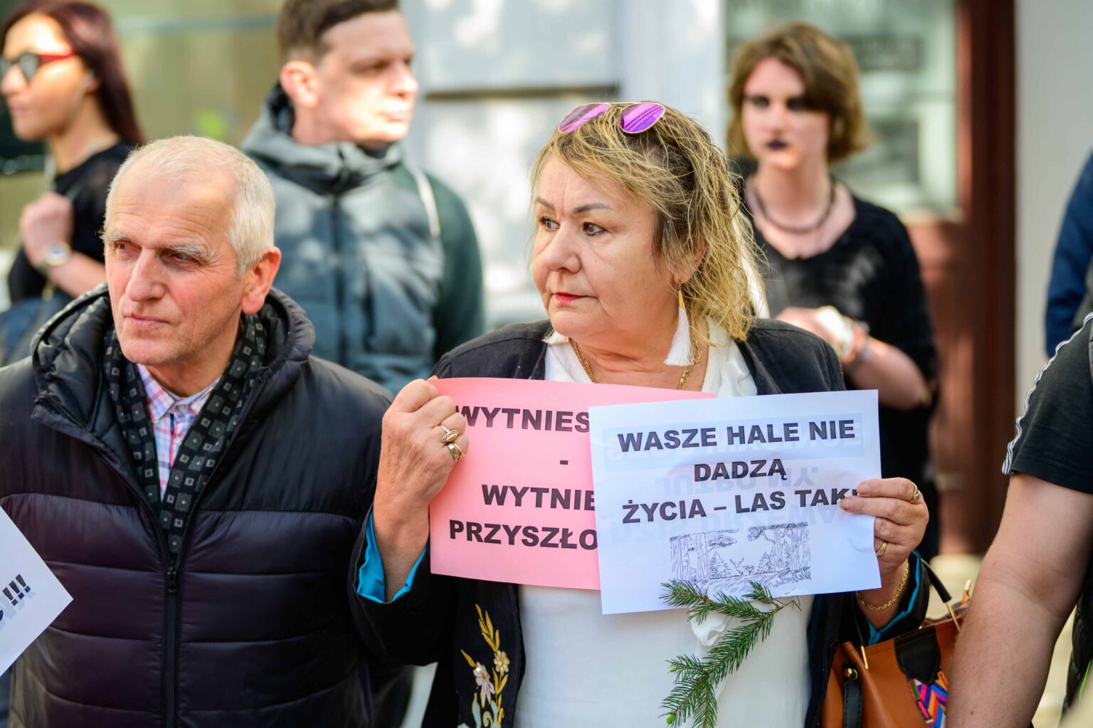 Protest w sprawie wycinki Lublinka 9
