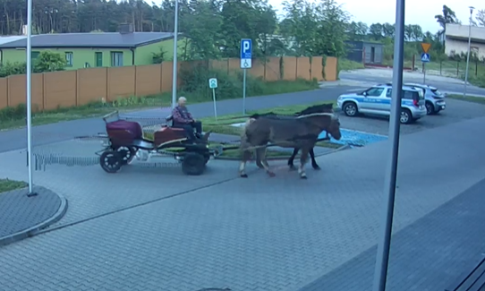 Nietypowa sytuacja w Poddębicach. Mężczyzna wjechał na parking komendy policji... powozem konnym [WIDEO]