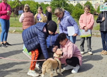 Pokaż klasę i posprzątaj po swoim pupilu