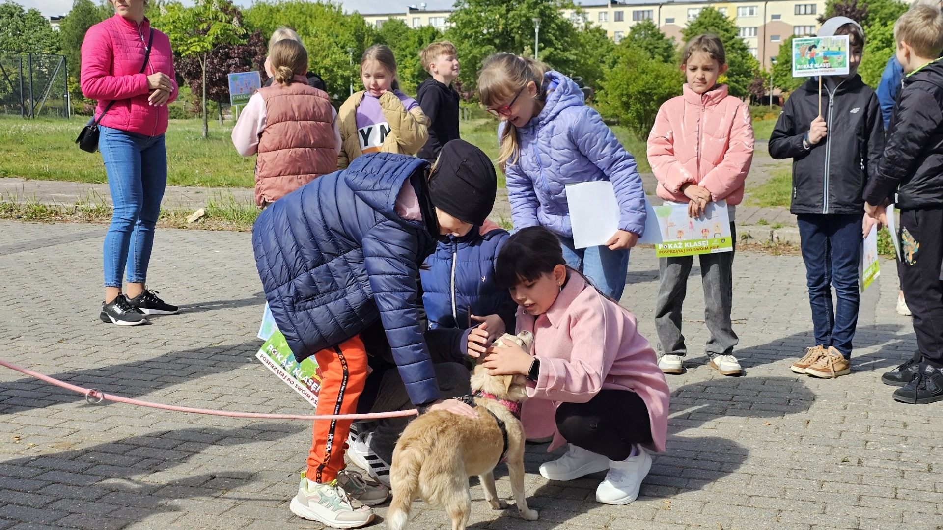 Pokaż klasę i posprzątaj po swoim pupilu