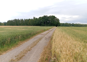 Mieszkańcy nie chcą budowy magazynów energii na przedmieściach Pabianic. Miasto zamawia ekspertyzy