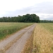 Mieszkańcy nie chcą budowy magazynów energii na przedmieściach Pabianic. Miasto zamawia ekspertyzy