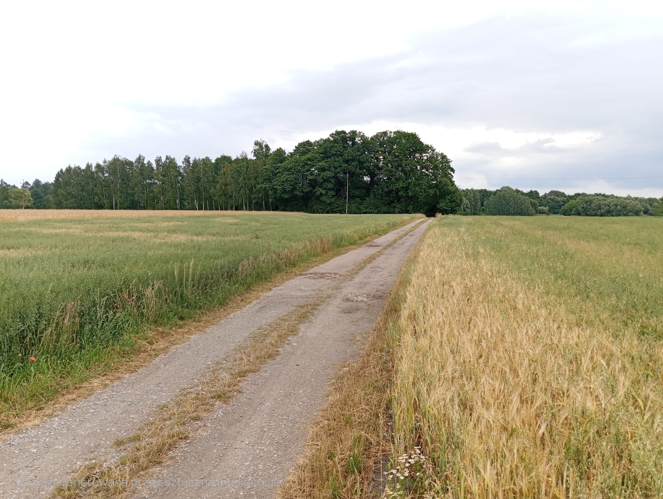 Mieszkańcy nie chcą budowy magazynów energii na przedmieściach Pabianic. Miasto zamawia ekspertyzy