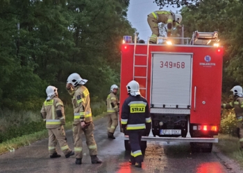 Burze w województwie łódzkim. Raport zniszczeń i strat