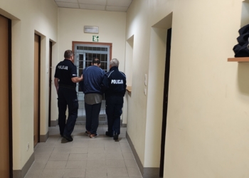 Obywatel Afganistanu chciał dostać się do Paryża i... szedł pieszo po S8