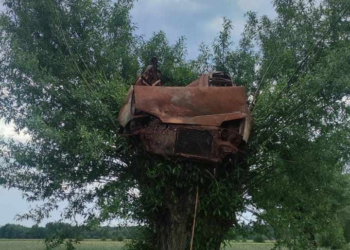 Spalony samochód na drzewie pod Wieruszowem