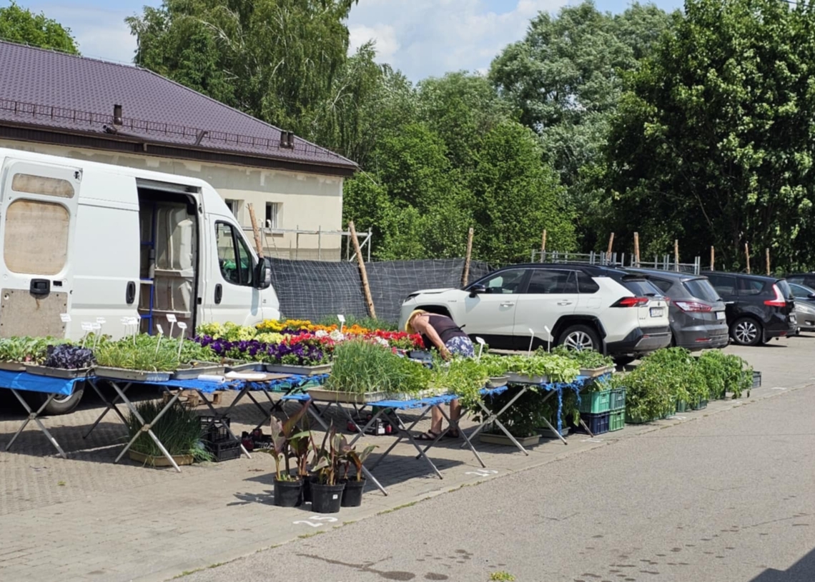 Czy jedno z bełchatowskich targowisk zostanie zlikwidowane? Powstaje tam dyskont spożywczy
