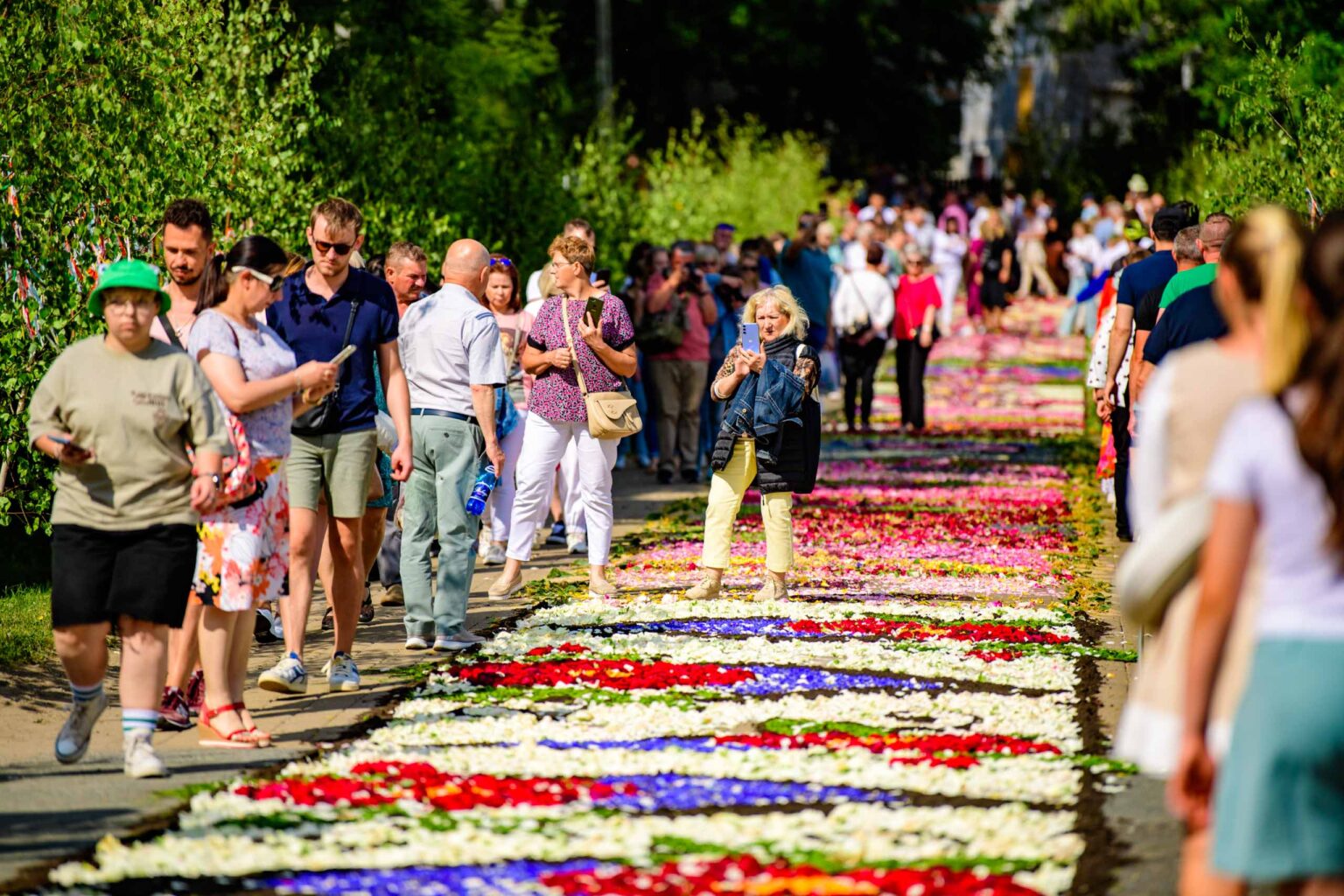 Dywany kwiatowe w Spycimierzu 2025 Fot Sebastian Szwajkowski 42