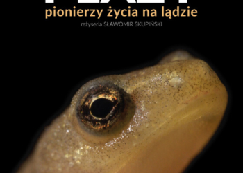 To jest temat | Leśne Studio Lasów Państwowych w Łodzi nagrodzone [PODCAST]
