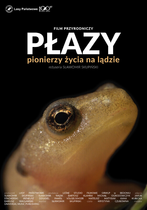 To jest temat | Leśne Studio Lasów Państwowych w Łodzi nagrodzone [PODCAST]