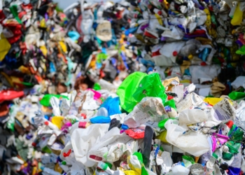 Drugie życie dla śmieci. Recykling coraz popularniejszy wśród łodzian