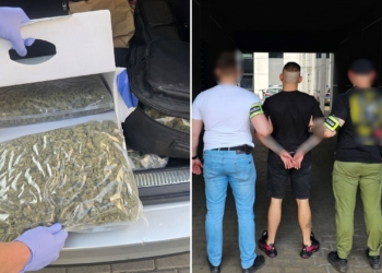 „Narkotykowy Desperado” z Łodzi. 26-latek ukrywał środki odurzające w futerale na gitarę