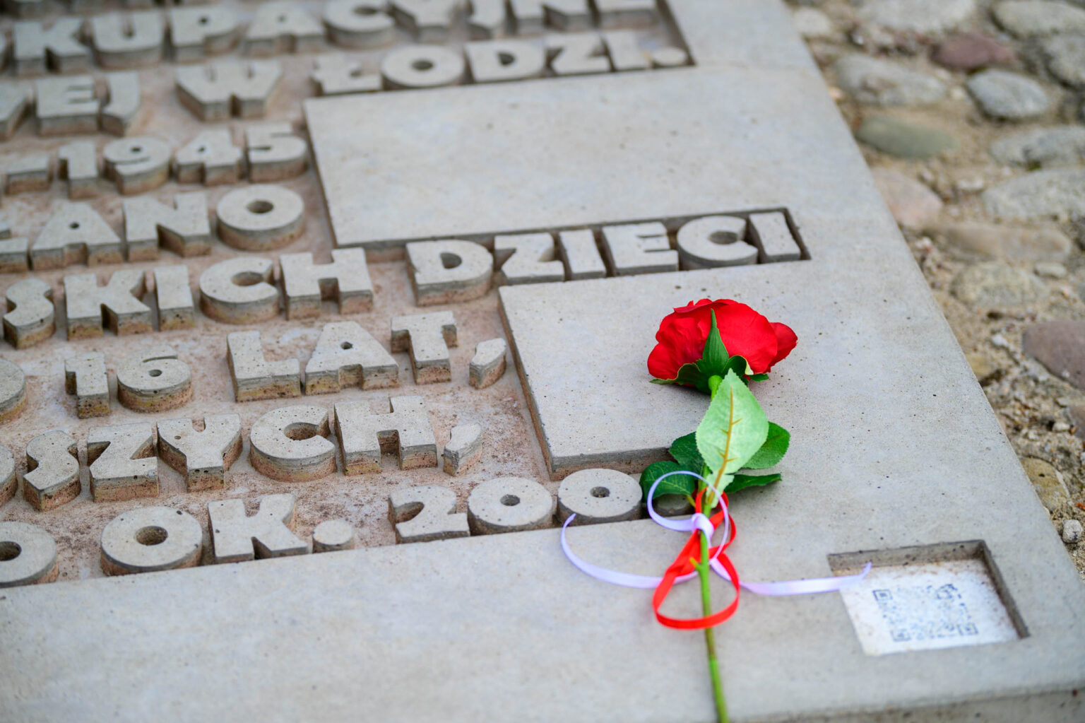 Serce Dziecku uroczystosci w Lodzi Fot Sebastian Szwajkowski 10