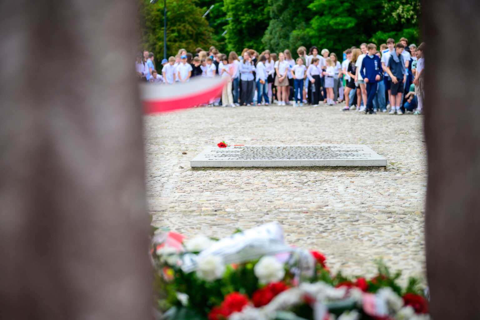 Serce Dziecku uroczystosci w Lodzi Fot Sebastian Szwajkowski 15
