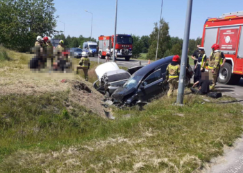 Wypadek na Polnej w Strykowie. Rannych 5 osób, w tym 2 policjantów
