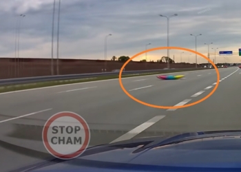 Kajak na środku autostrady. Tego kierowcy się nie spodziewali