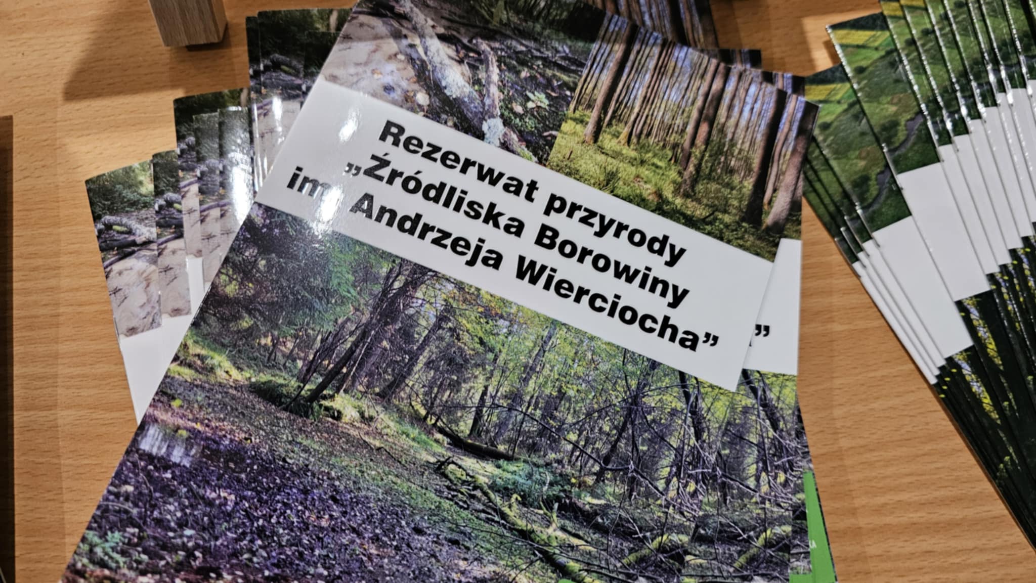 Nowy rezerwat przyrody powstał pod Bełchatowem. To "Źródliska Borowiny im. Andrzeja Wierciocha" 3 Nowy rezerwat przyrody powstał pod Bełchatowem. To "Źródliska Borowiny im. Andrzeja Wierciocha"
