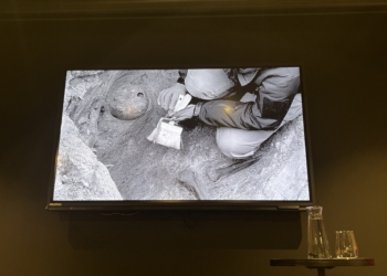 Szczątki kolejnej ofiary zbrodni na Brusie. Archeolodzy będą pracować do końca czerwca