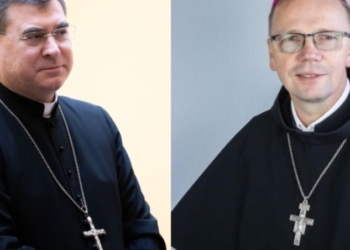 Łódzcy biskupi z ważnymi funkcjami w Konferencji Episkopatu Polski