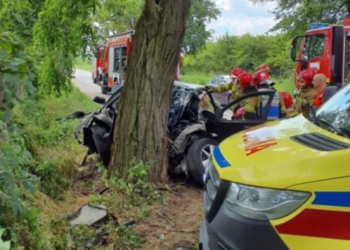 Śmiertelny wypadek w Dębowej Górze