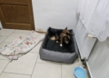 20250731 120140 scaled