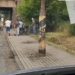 Rajd na hulajnodze skończył się na słupie. 17-latek z urazem głowy i kręgosłupa wylądował w szpitalu 10 Rajd na hulajnodze skończył się na słupie. 17-latek z urazem głowy i kręgosłupa wylądował w szpitalu