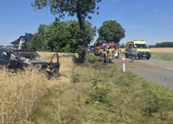Dachowanie osobówki na DW742 w gminie Sulejów