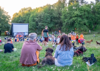 Czas na pierwszą psią polówkę. Przed filmem zbiórka dla zwierzaków