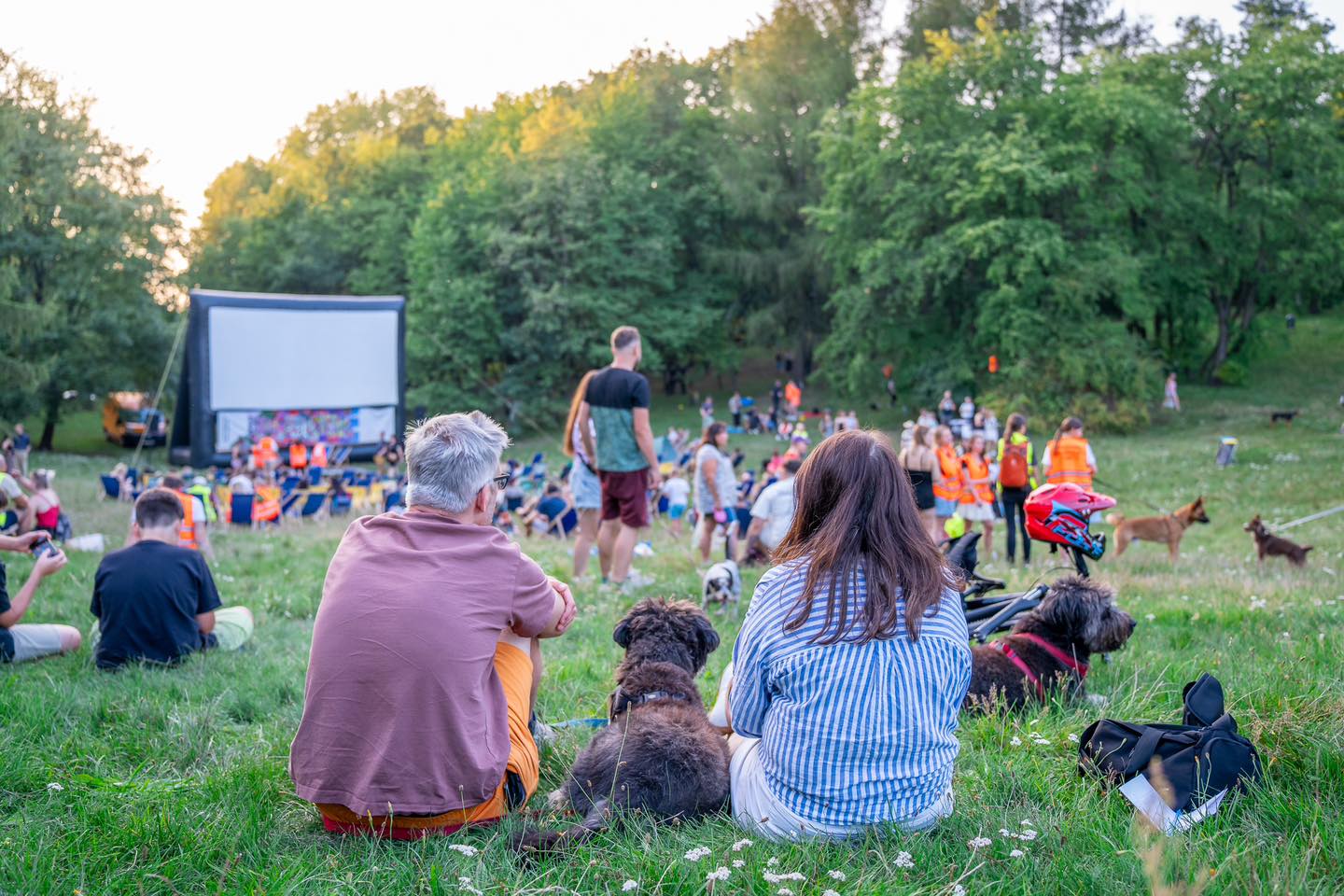 Czas na pierwszą psią polówkę. Przed filmem zbiórka dla zwierzaków