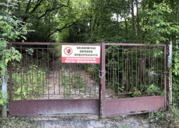 Mieszkańcy Zgierza skarżą się na nieznośny fetor. Będzie nadzwyczajna sesja rady miejskiej