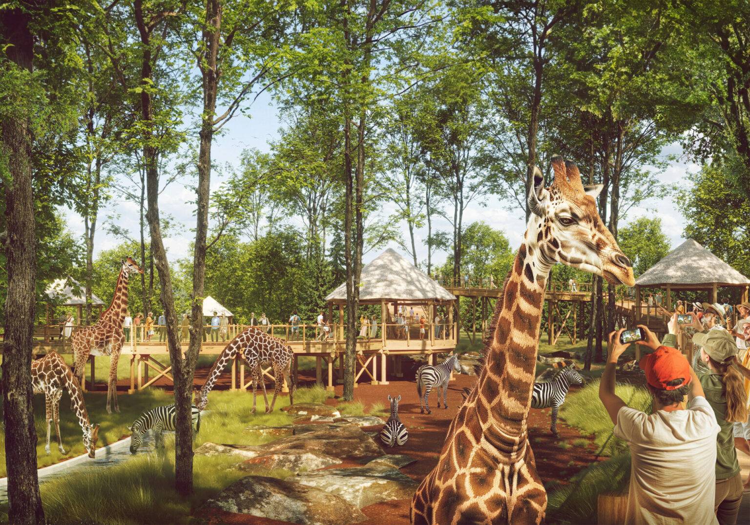 W łódzkim zoo powstanie sawanna. Pojawią się wyjątkowe gatunki zwierząt