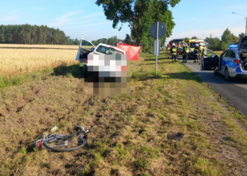 Śmiertelny wypadek na DW704. Zginęła 72-letnia rowerzystka