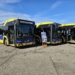 15 nowych elektryków dla regionu. Pabianice i Radomsko inwestują w ekologiczny transport