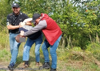 Zabójstwo w Koluszkach. Są zarzuty dla 33-letniego Ukraińca