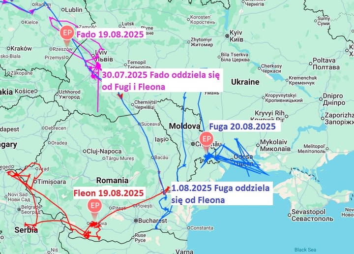 Fuga, Fago i Fleon, bociany czarne z Łódzkiego odleciały już na zimowisko. Gdzie znajdują się teraz? [MAPA]