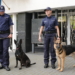 10 nowych psów tropiących w łódzkiej policji. Czym się zajmą? 13 10 nowych psów tropiących w łódzkiej policji. Czym się zajmą?