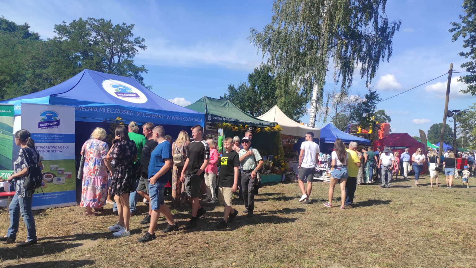 IMG 20250831 141101