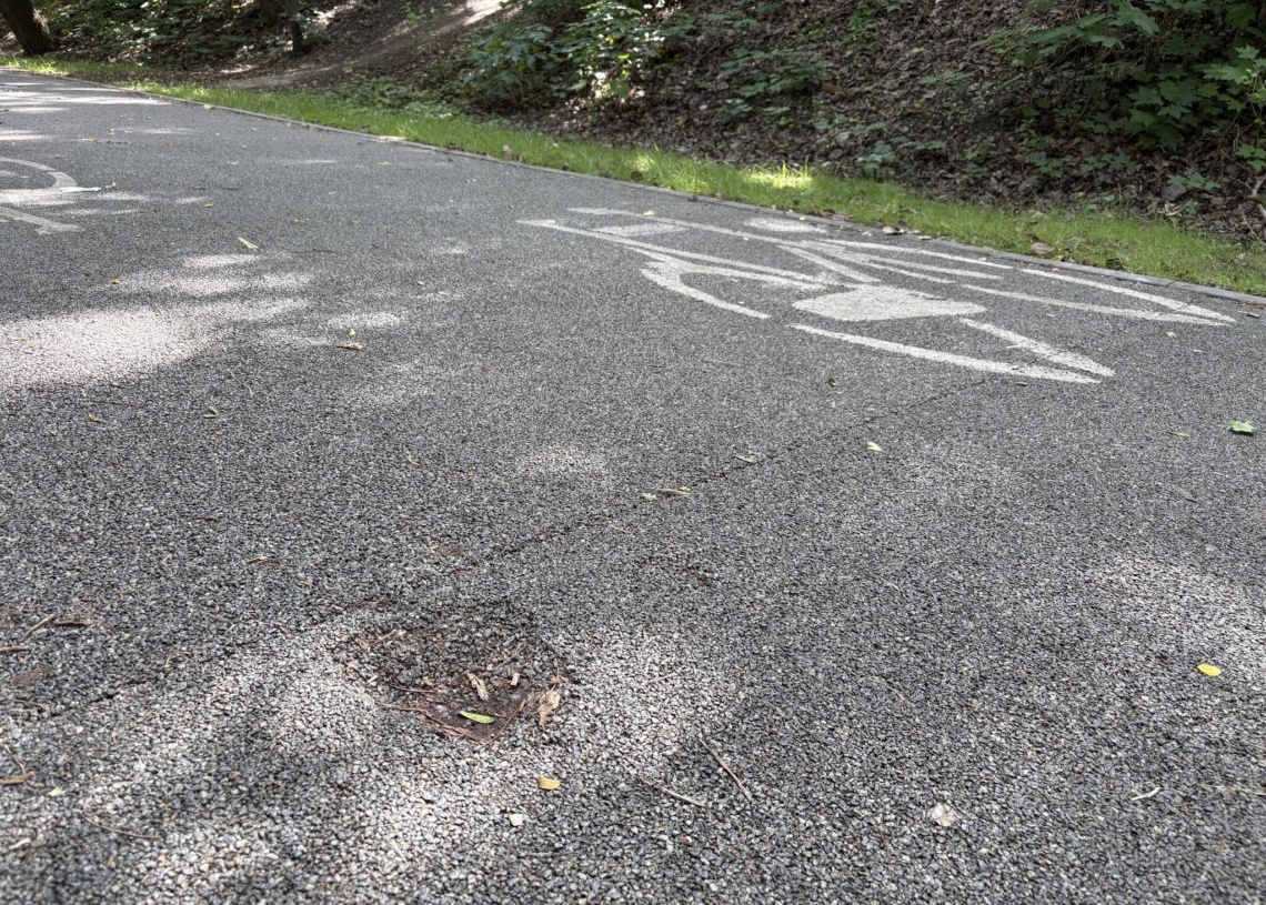 „Scheiblerówka” do naprawy. Drogę rowerową otwarto zaledwie pół roku temu 1 „Scheiblerówka” do naprawy. Drogę rowerową otwarto zaledwie pół roku temu