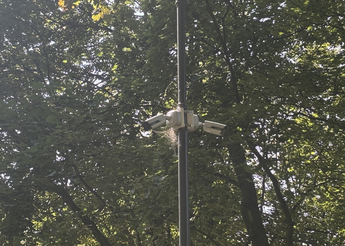 Z parku miejskiego w Zgierzu znikają rośliny. "Poprosiłem o interwencję prezydenta miasta"