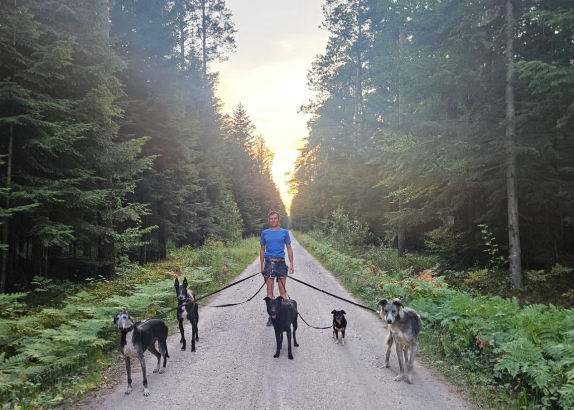 Czy trzeba bać się adopcji starszych zwierząt?