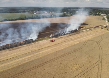 Pożar zboża w Łódzkiem. 19 jednostek straży gasiło 15 hektarów