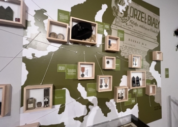 Jak zmieniało się uzbrojenie polskich żołnierzy? Wystawa czasowa w Muzeum Tradycji Niepodległościowych [ZDJĘCIA]
